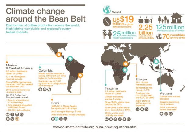 tci_infographic_bean_belt_map_standalone-01-768x539