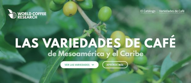coffee-variety-catalog