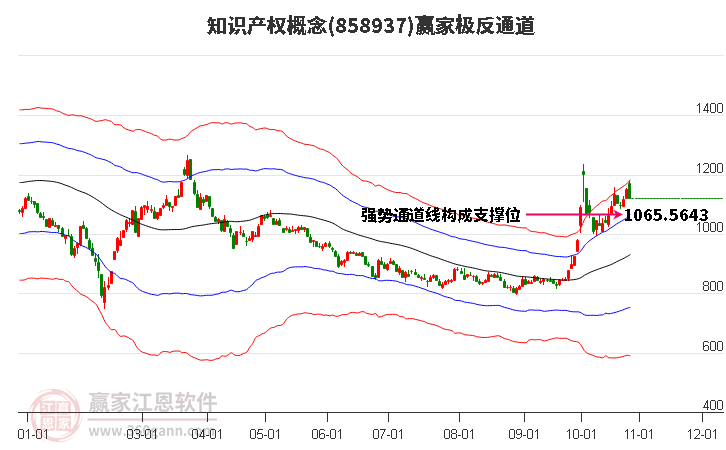 858937知识产权赢家极反通道工具