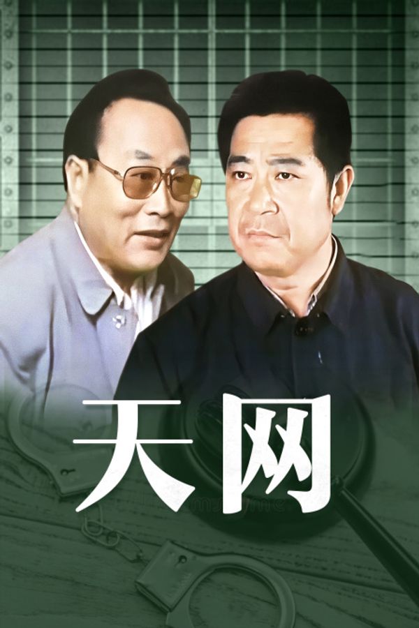天网封面图