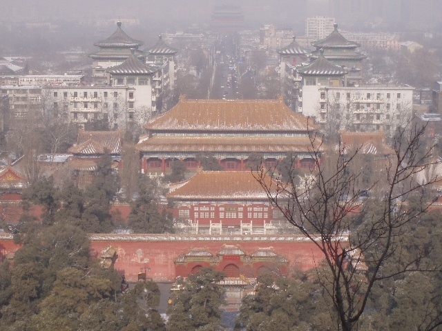 北京景山公园崇祯皇帝上吊的地方，歪脖树很茂盛