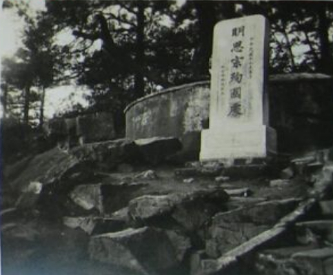 北京景山公园崇祯皇帝上吊的地方，歪脖树很茂盛