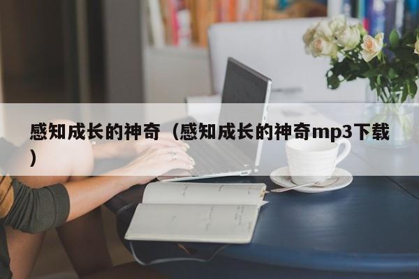 感知成长的神奇（感知成长的神奇mp3下载）