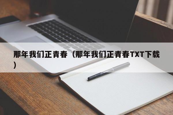 那年我们正青春（那年我们正青春TXT下载）