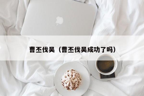 曹丕伐吴（曹丕伐吴成功了吗）
